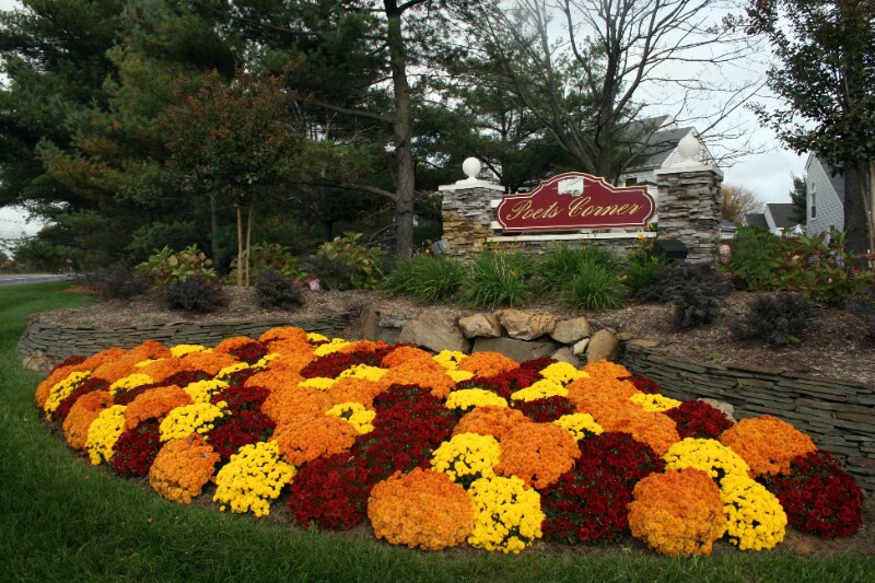 Building Photo - 5 Kilmer Ct