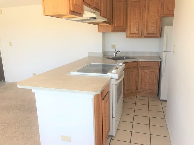 Building Photo - One bedroom corner unit at Regency Tower 1502