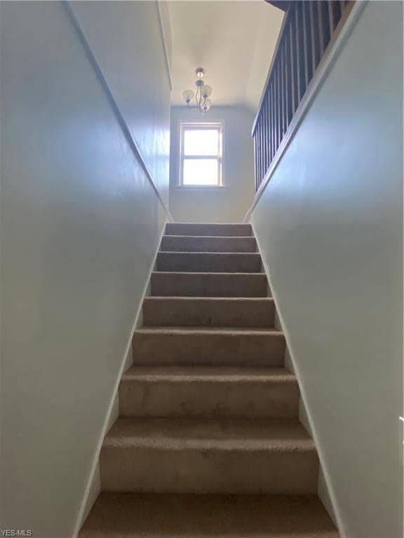 Building Photo - 1181 Hilltop Dr