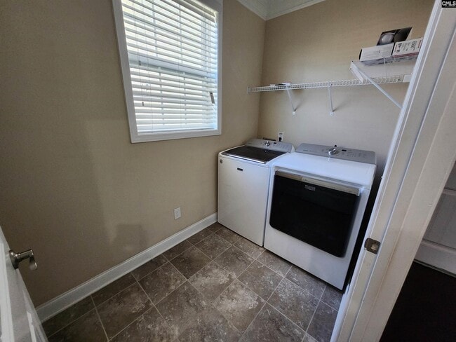 Building Photo - 801 Leyland Cypress Ct