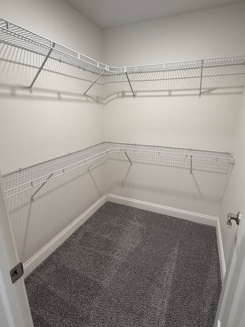 Building Photo - 1217 Britt Ln