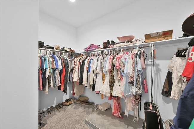 Building Photo - 12369 Carib Crossing Ln