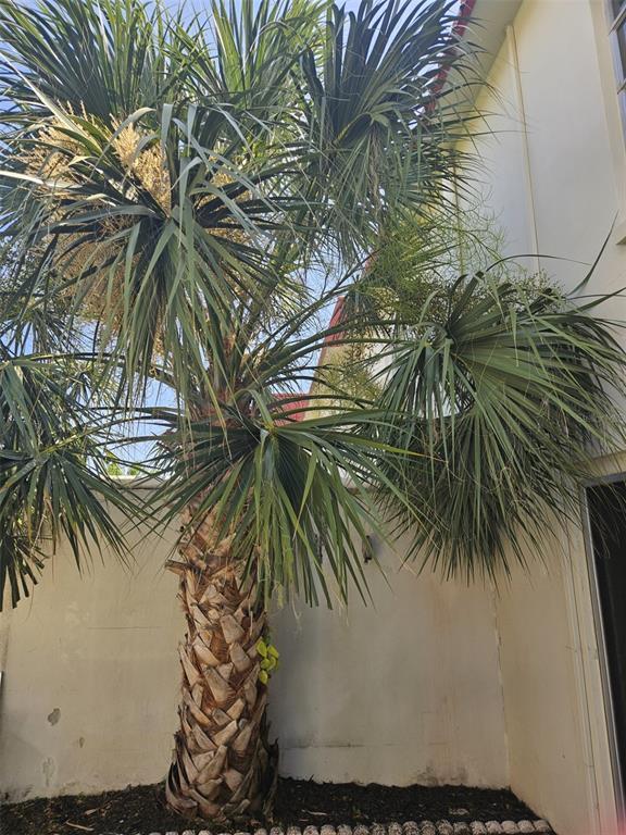 Building Photo - 2700 Bayshore Blvd