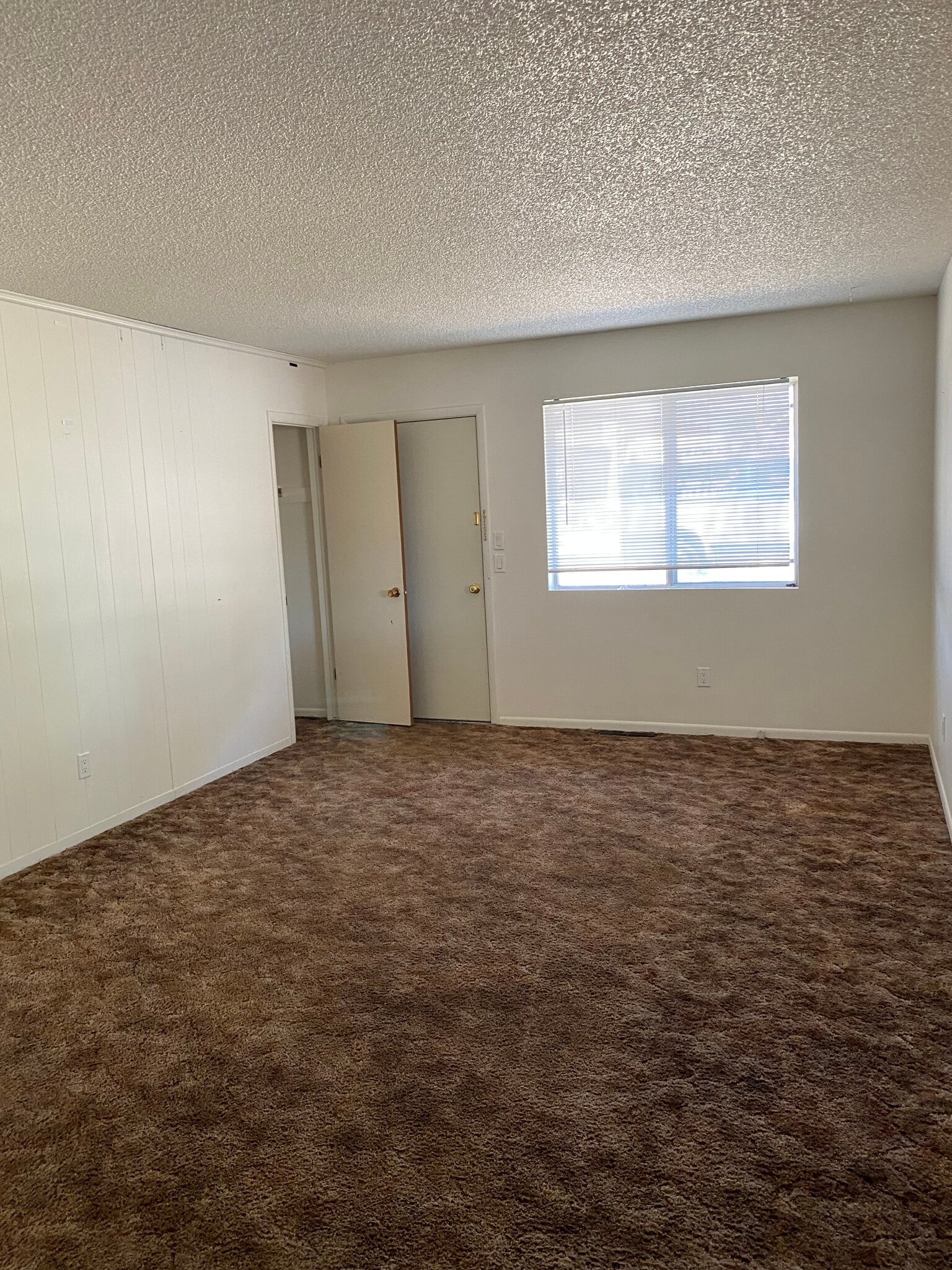 Living Room - 684 Cedar St