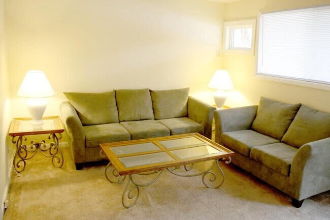 Living Room - 1100 Hicks Ct