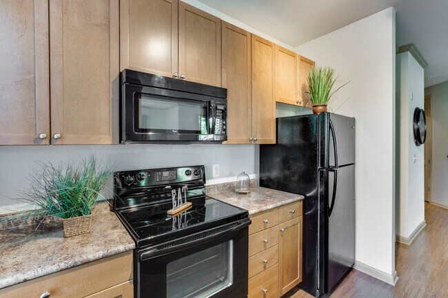 Building Photo - Summerfield At Morgan Metro Apartments
