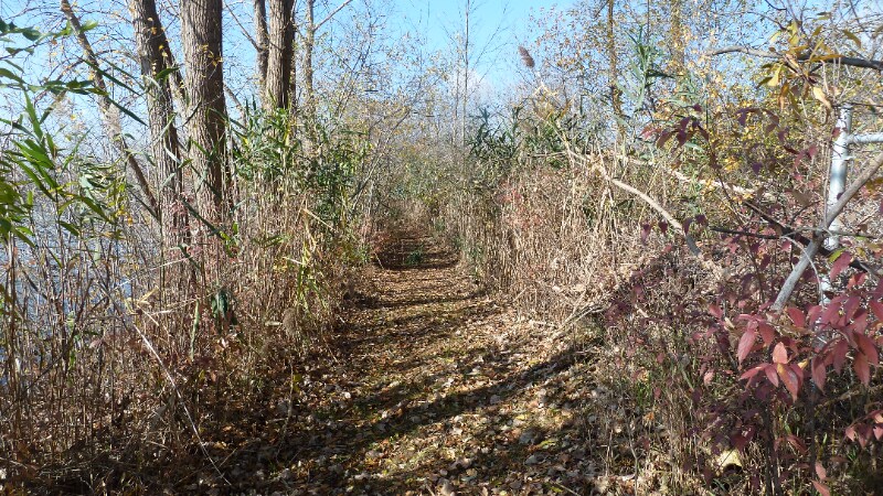 Building Photo - 11871 21 Mile Rd