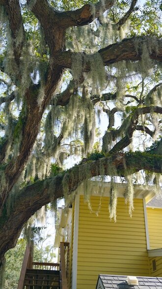 Building Photo - 14 Sanchez Ave