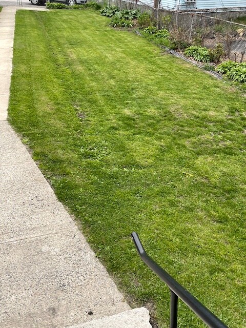 Large fenced in yard - 70 Seymour St