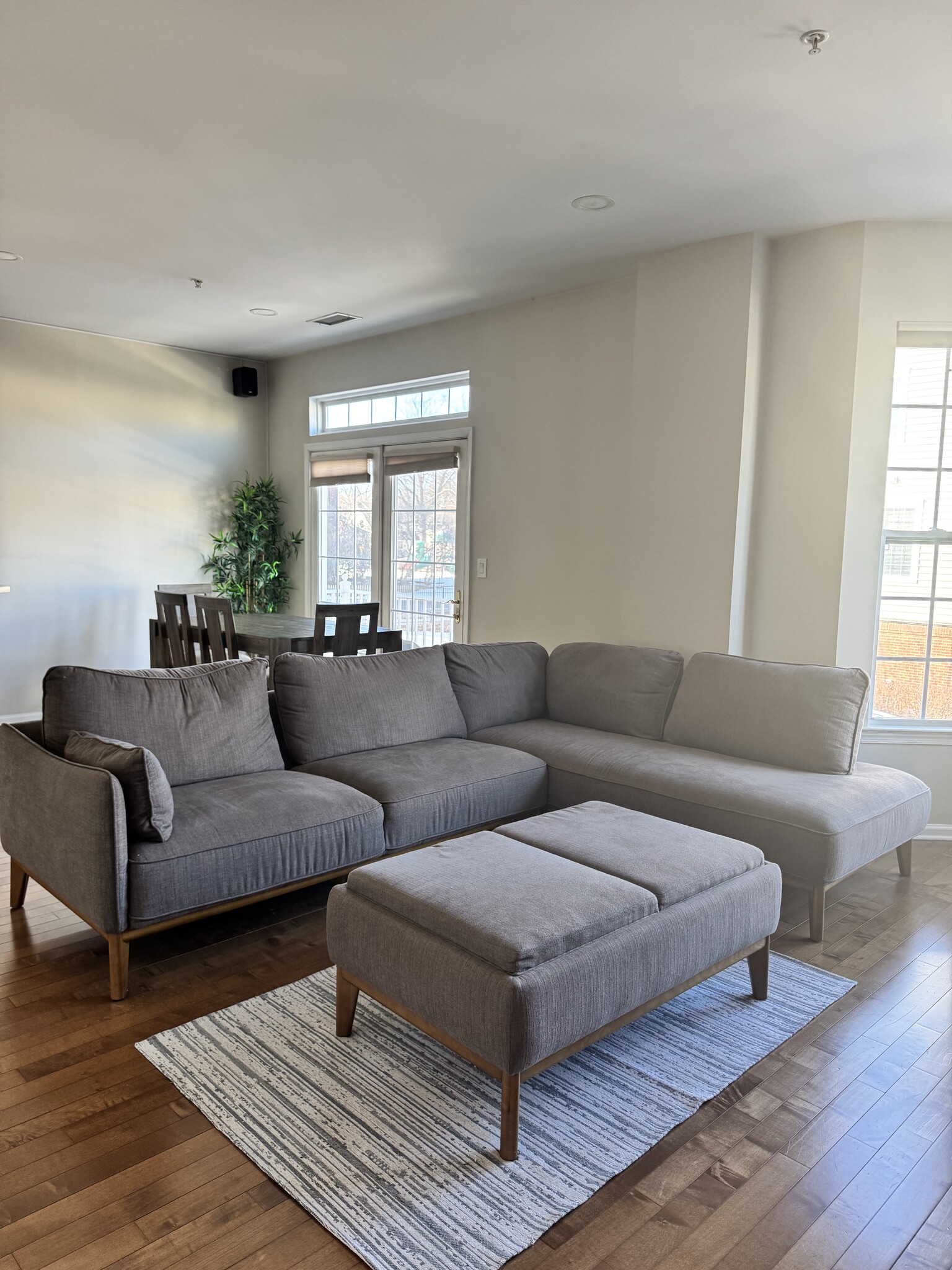 Living room - 813 Deluca Rd