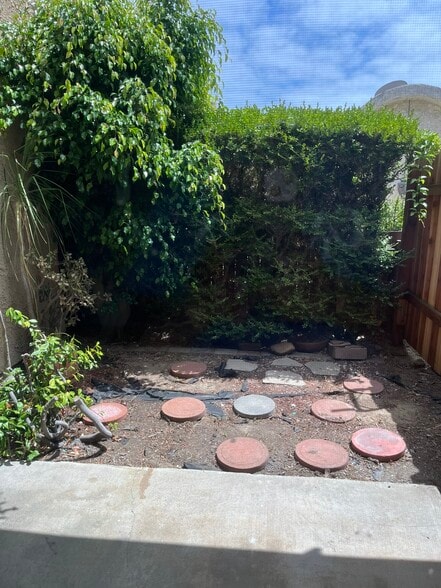 backyard - 2255 Ohio Ave