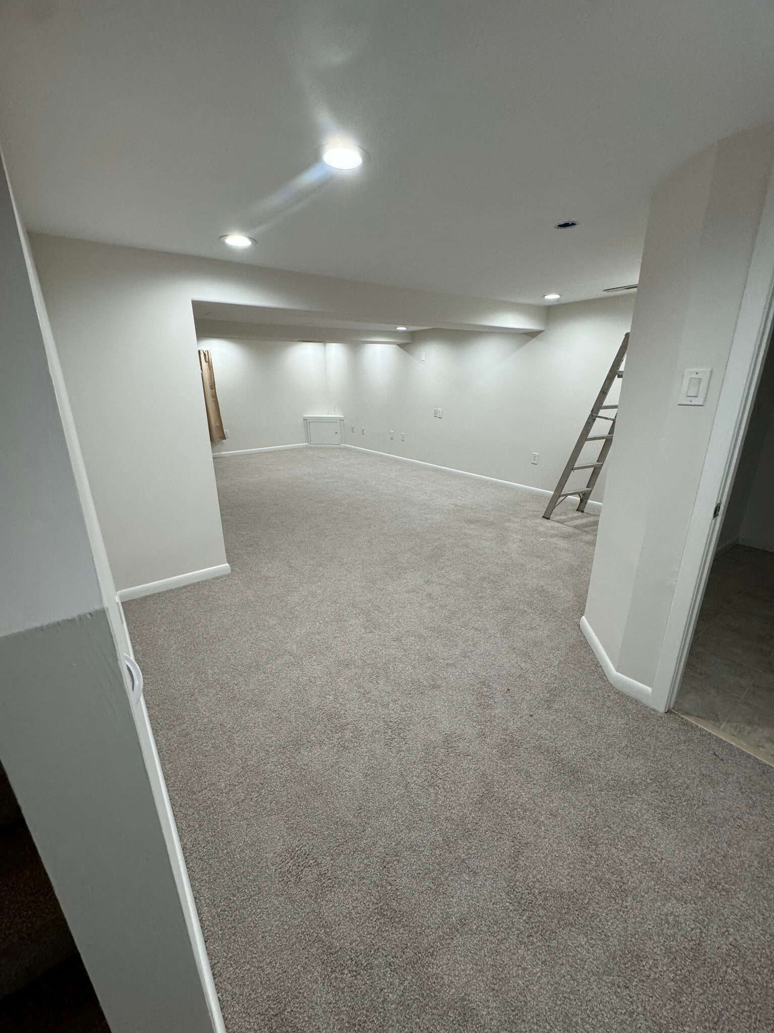 Basement - 933 Bancroft Pl