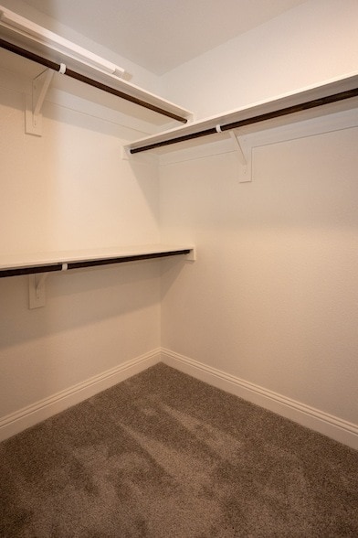 Building Photo - 409 Aurora Creek Ln