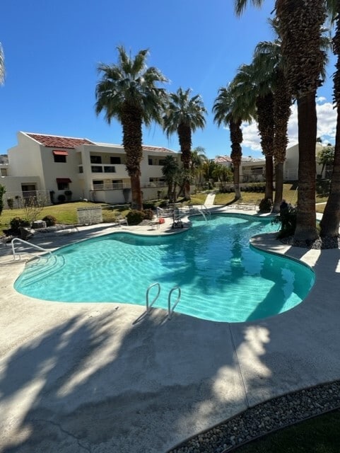 Beautiful and lovely, peaceful, setting for the common pool - 255 E Avenida Granada