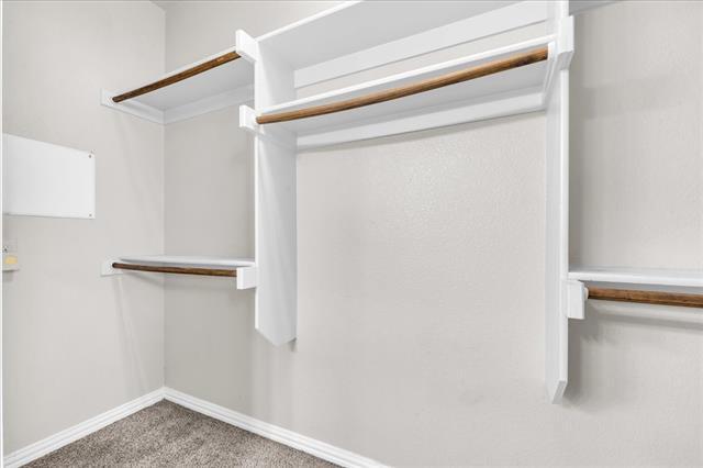Building Photo - 1523 Cozy Dr