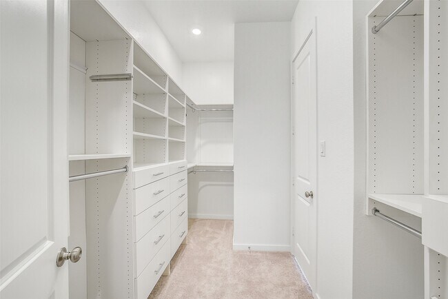 Building Photo - 31222 Anna Mdws Dr