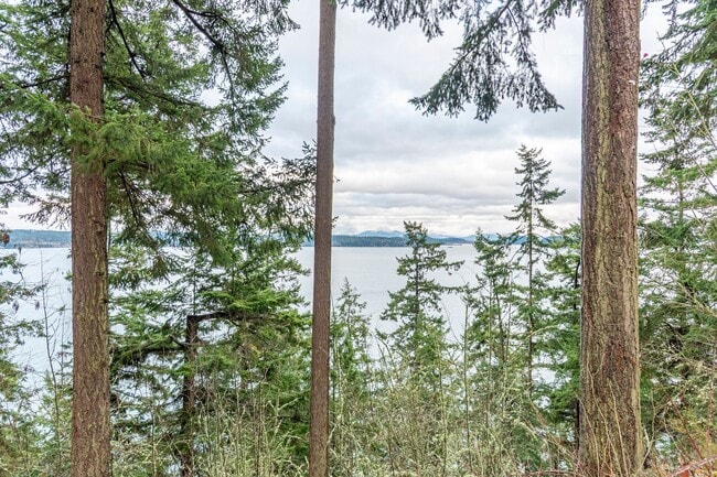 Building Photo - 3 Bedroom 2.5 bathroom nestled in woods with water view