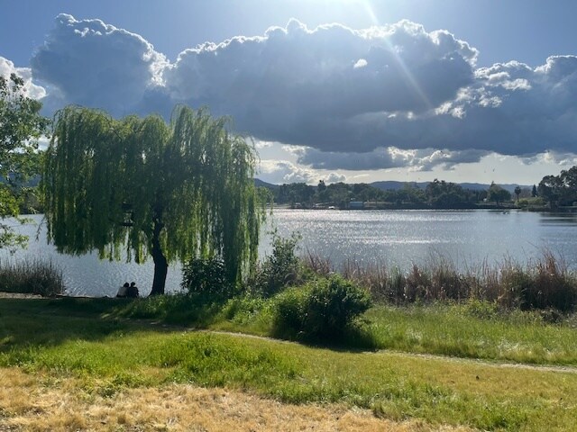 view of Almaden lake across from Complex - 1314 La Terrace Cir