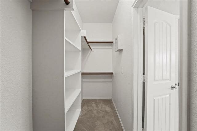 Building Photo - 1005 Meadow Green Ct
