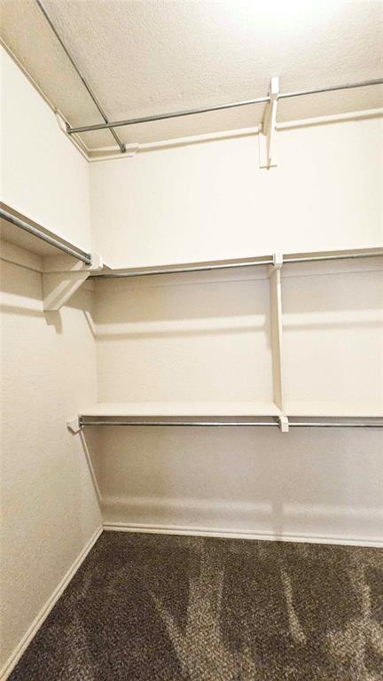 Building Photo - 4117 Gyrfalcon Dr