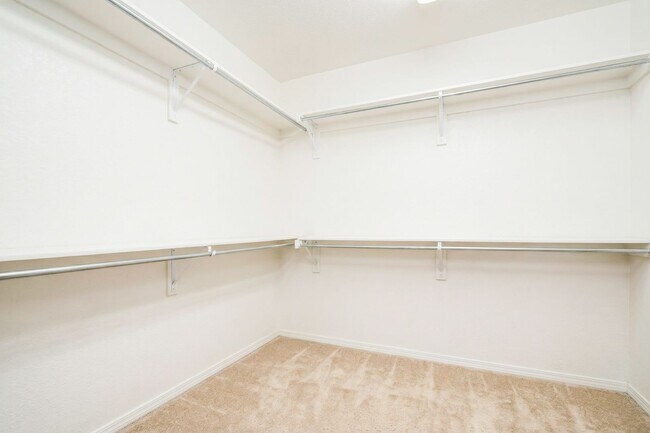 Building Photo - Exceptional 5-Bedroom Home Steps from the University of Denver