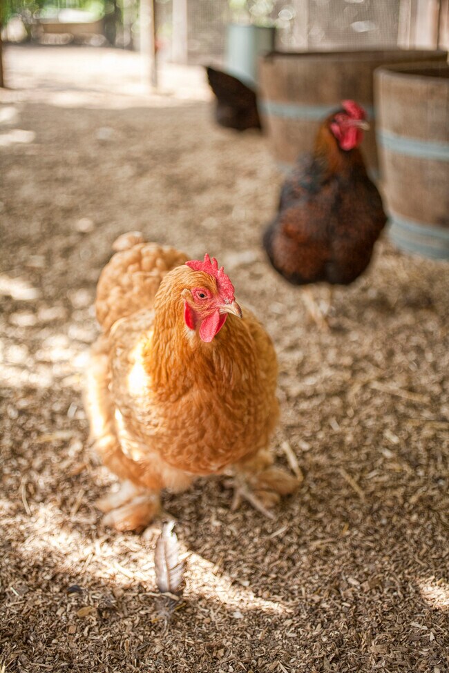 Building Photo - 430 Pratt Ave