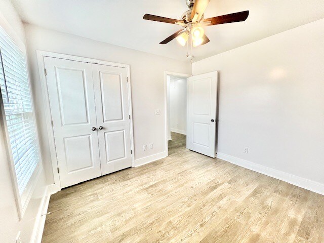 Building Photo - 165 Pommel St