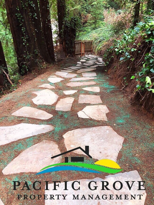 Building Photo - Cabin on Palo Colorado