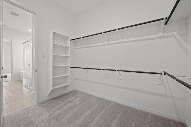 Building Photo - 22119 Shrimp Plant Ln