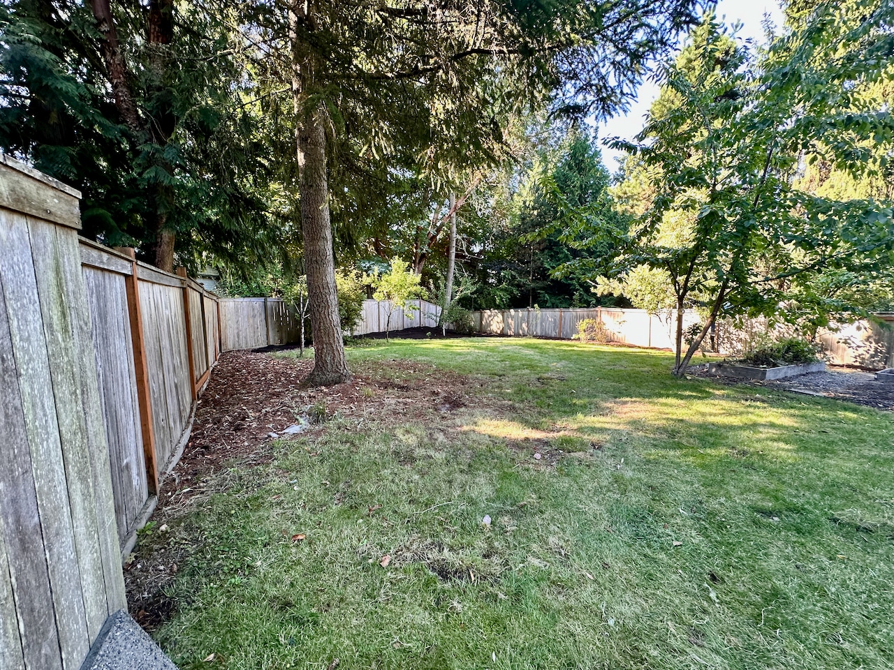backyard - 1647 Jeannette Plz NW