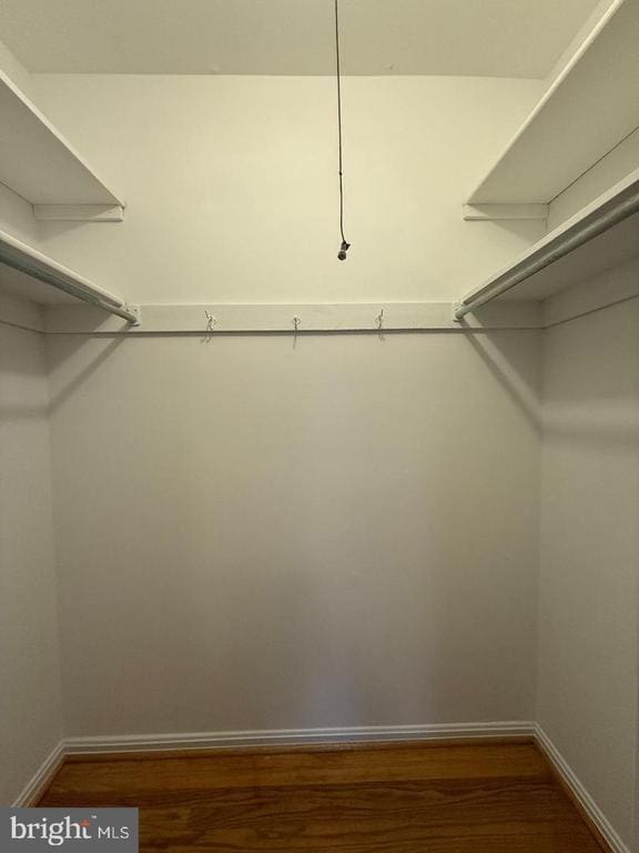 Building Photo - 11008 Saffold Way