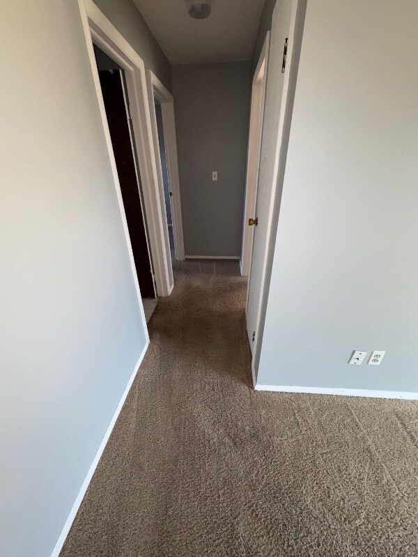 Building Photo - 1338 S 14th St