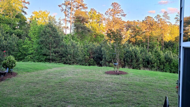 Backyard - 1006 River Bark Pl