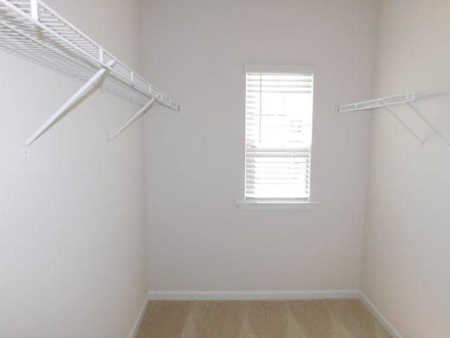 Building Photo - 143 Sawgrass Dr