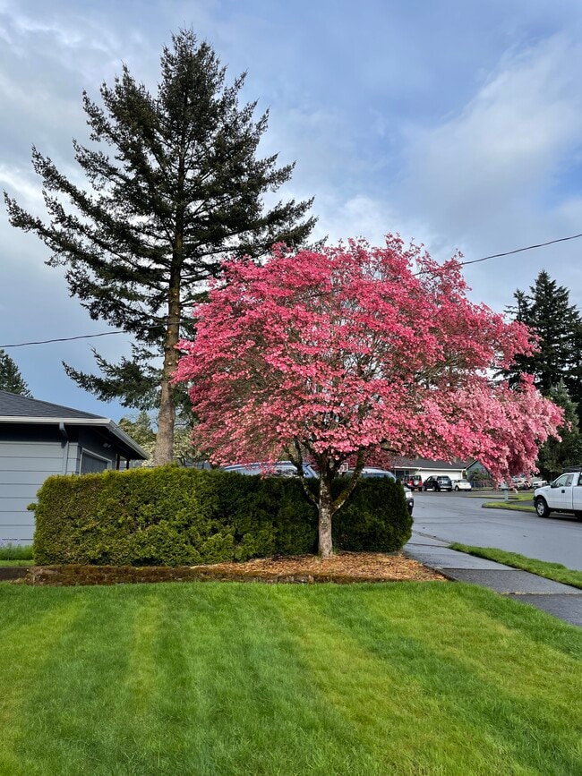 Building Photo - 21515 SE Alder St