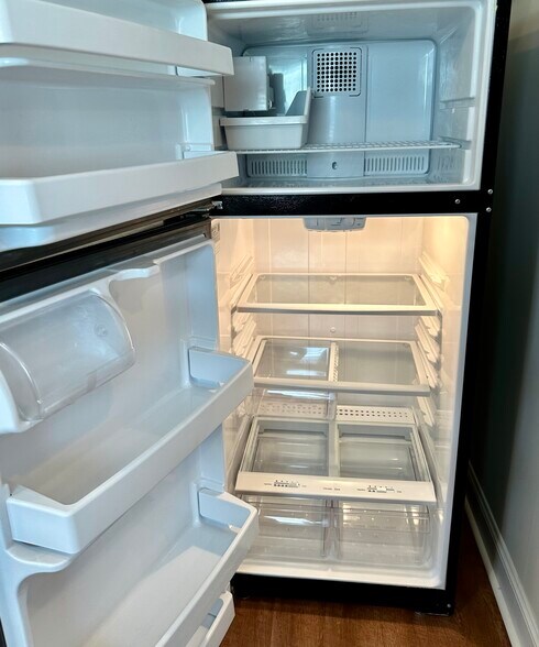 Plenty of shelves and ice-maker - 891 Old Vinton Mill Rd NE Unit B