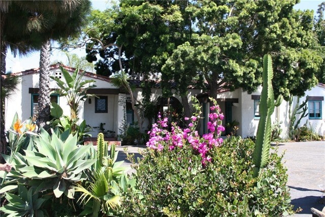 Primary Photo - 243 Avenida Madrid