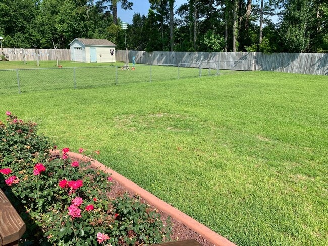 Building Photo - Charming Updated Home, Quiet Street Near Base, Fenced Yard!
