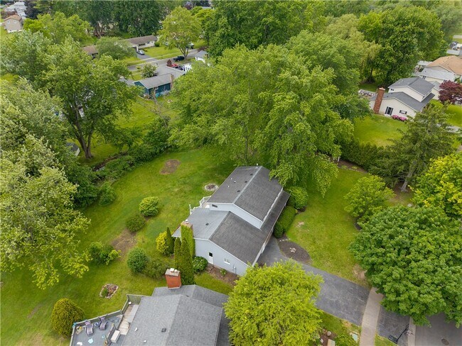 Building Photo - 20 Paddington Dr