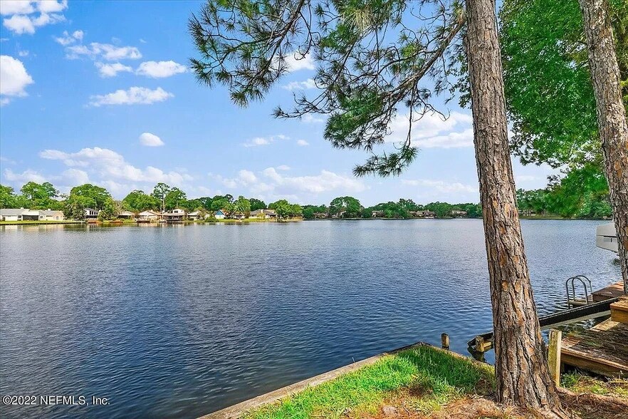 Building Photo - 11290 Lake Mandarin Cir E