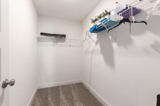 Building Photo - 3622 Switchgrass Ct