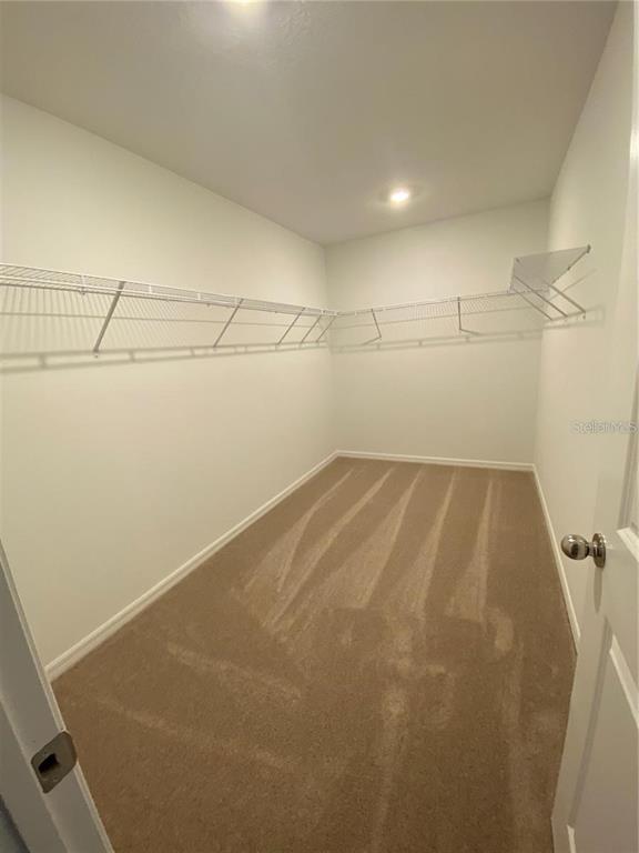 Building Photo - 20854 Magnolia Crk Ln