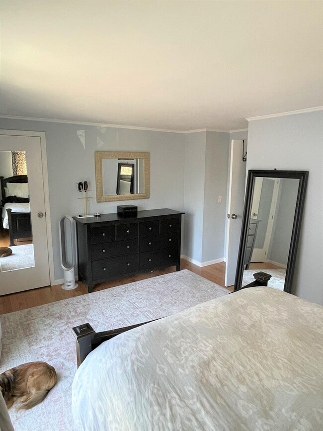 Building Photo - 34 Skehan St