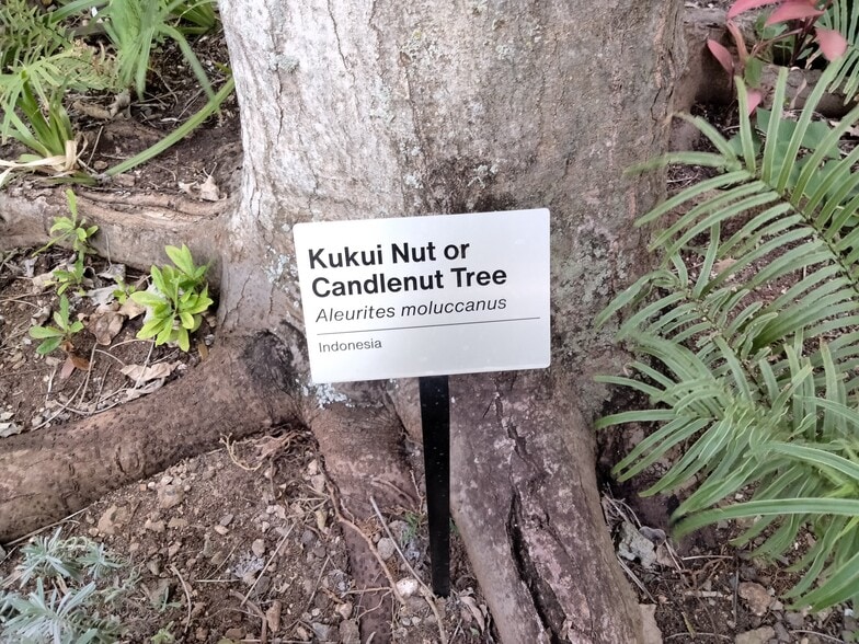 Gardens 11 - 300 Wai Nani Way