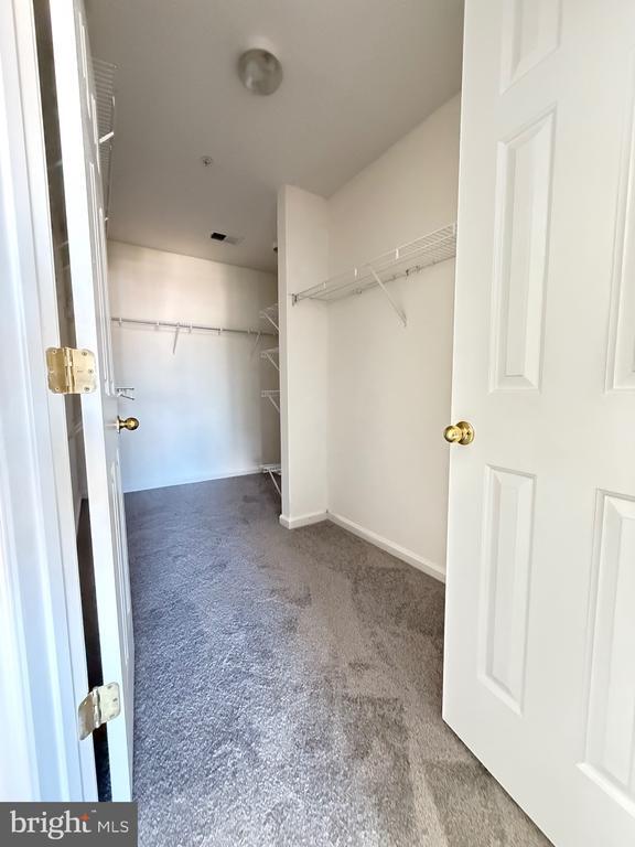 Building Photo - 1403 Northern Lights Dr