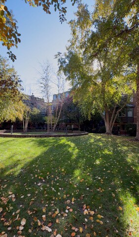 Building Photo - 1351 W Altgeld St