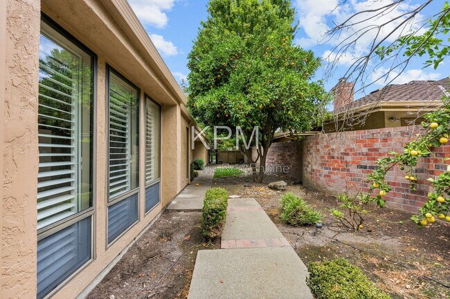 Building Photo - 3342 Cove Cir