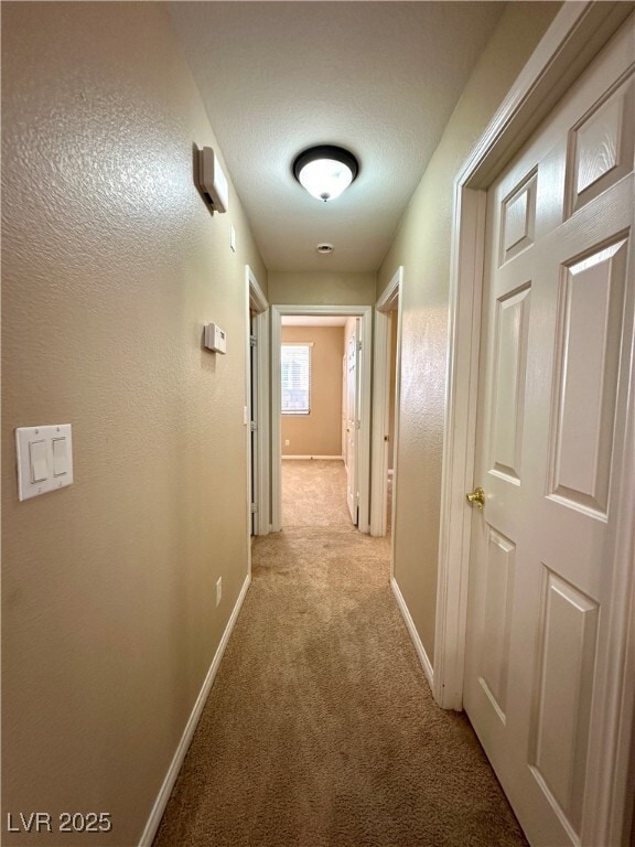 Building Photo - 11908 Arenoso Dr