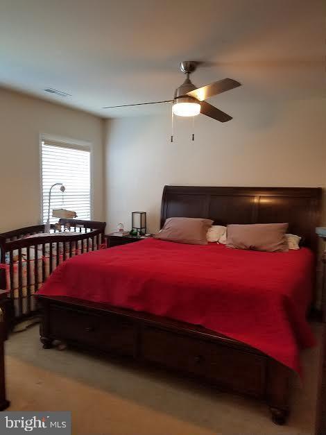 Building Photo - 20 Sandy Ln