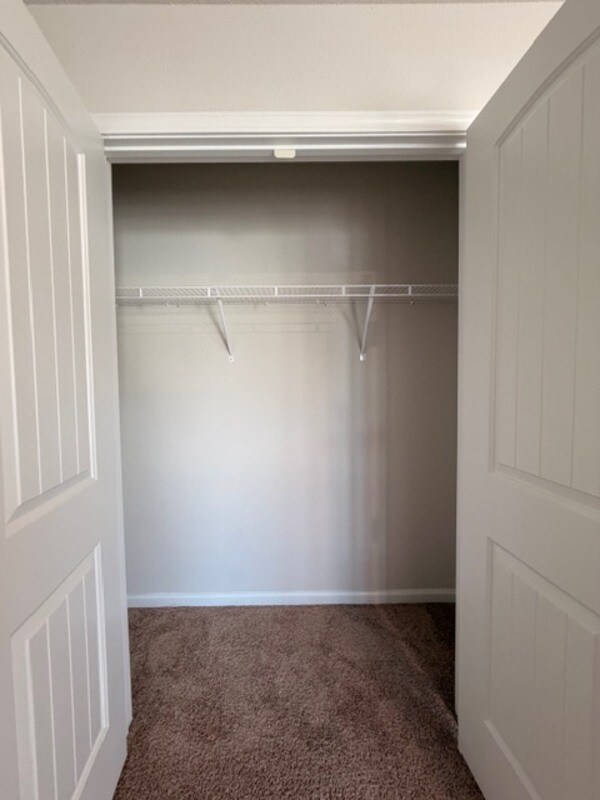 Building Photo - 925 Turkey Berry Ln